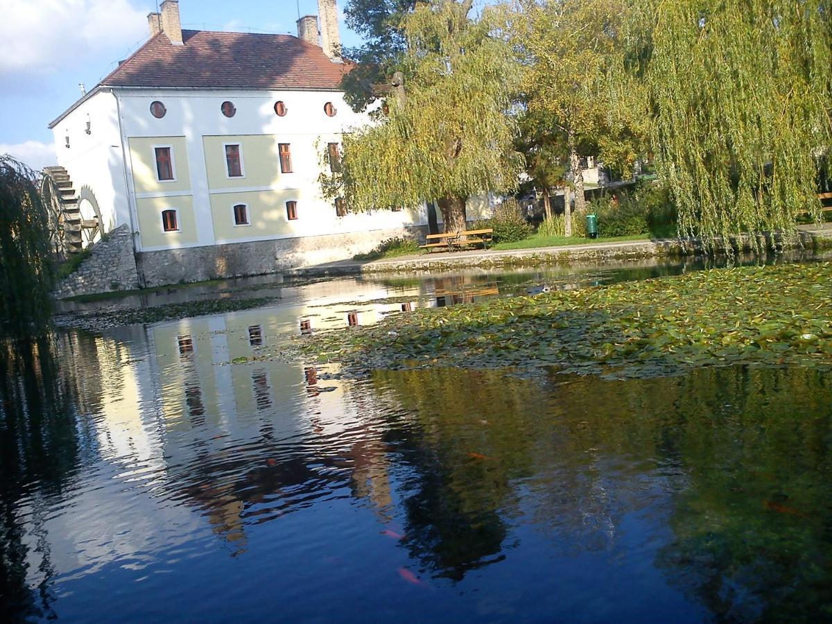 Villa Elisa Vonyarcvashegy Bagian luar foto