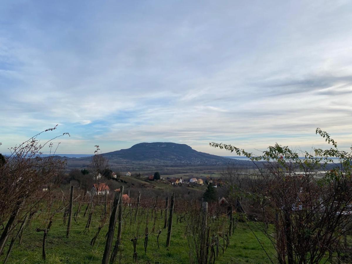Villa Elisa Vonyarcvashegy Bagian luar foto