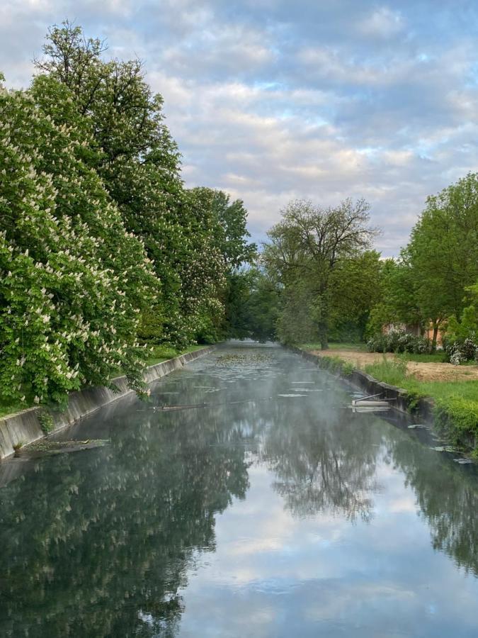 Villa Elisa Vonyarcvashegy Bagian luar foto